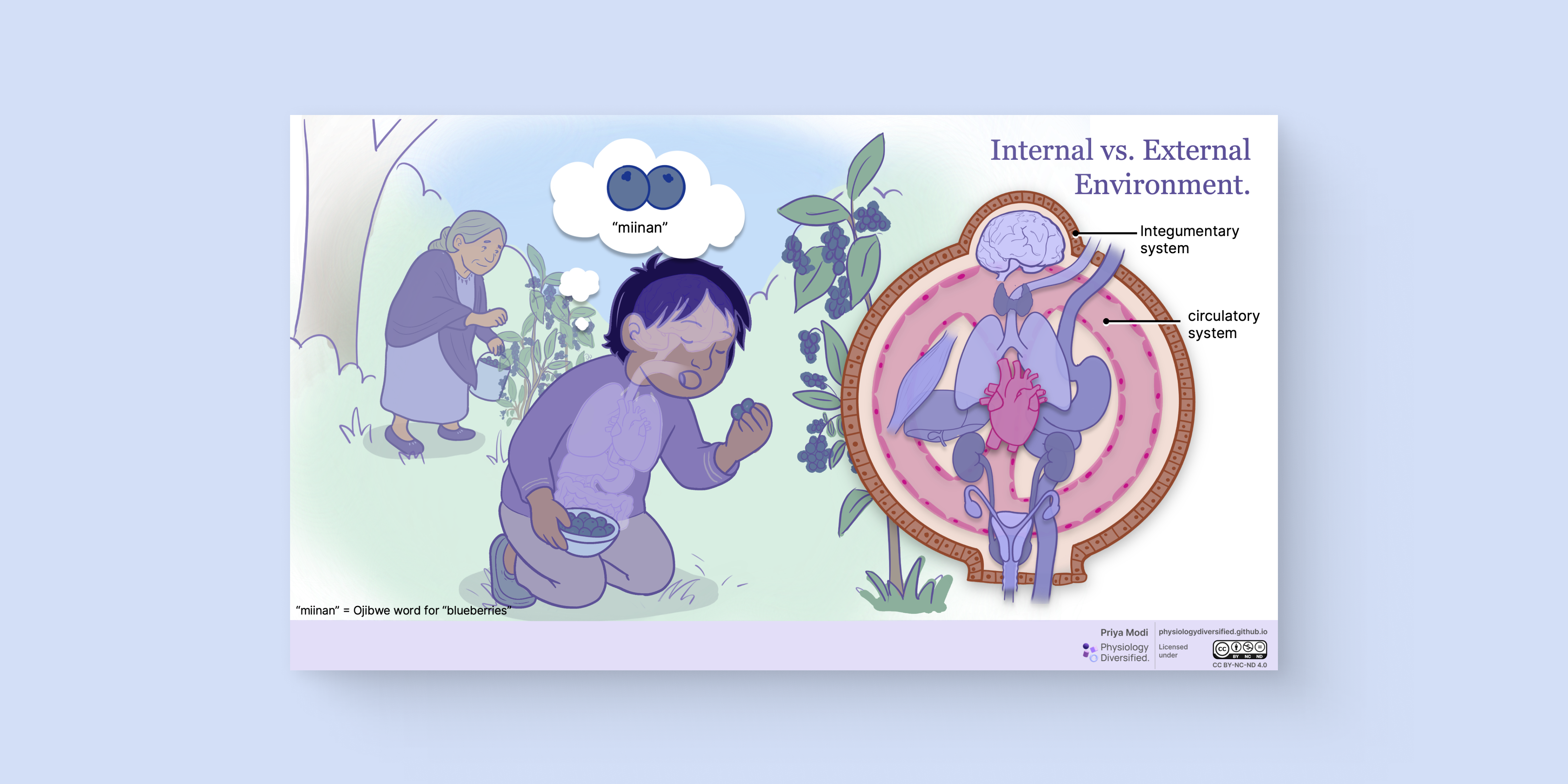 Internal vs External Environment